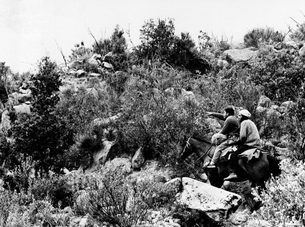 1972: Andes Plane Crash